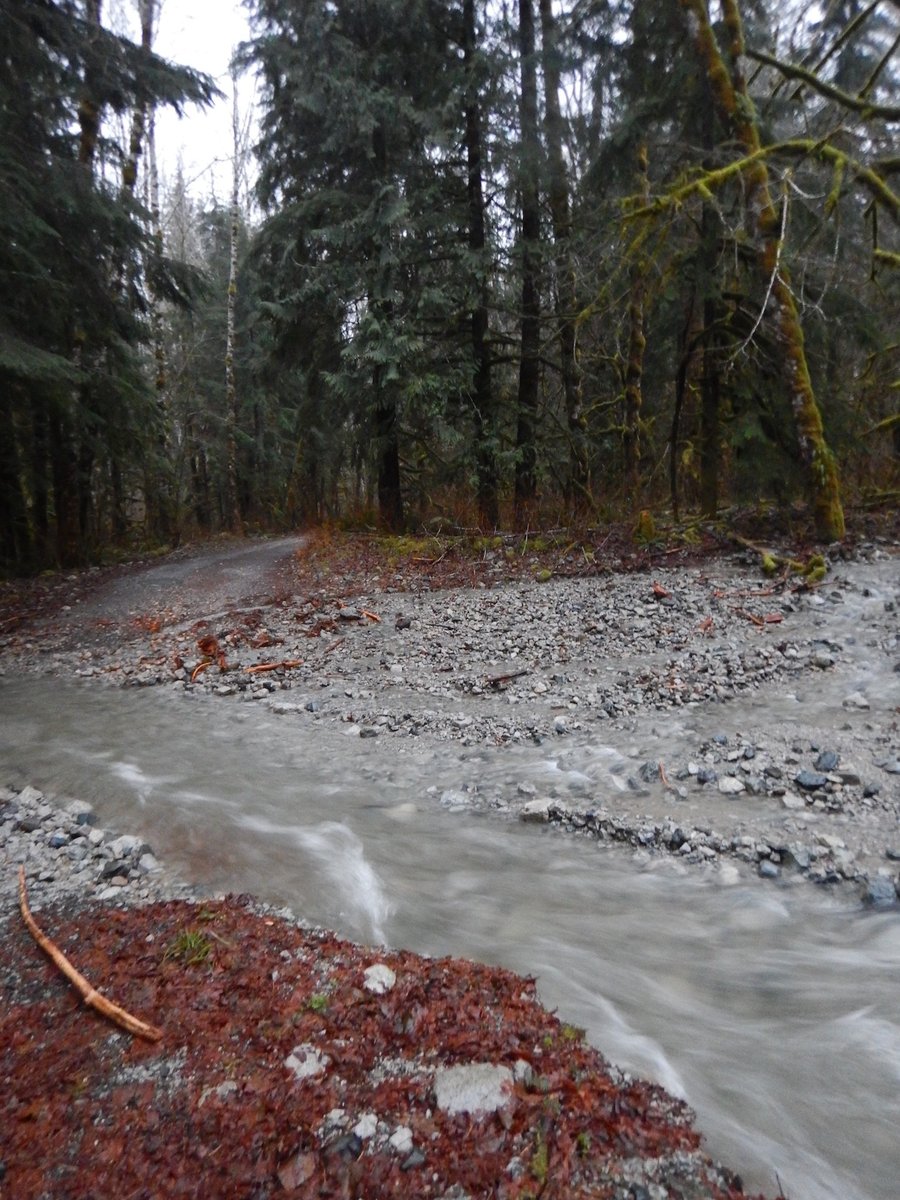 The water crossing that stopped us the previous night looked like nothing in the morning! You can see the debris field of where it was running the night before. Believe me, it was a whole lot scarier then.