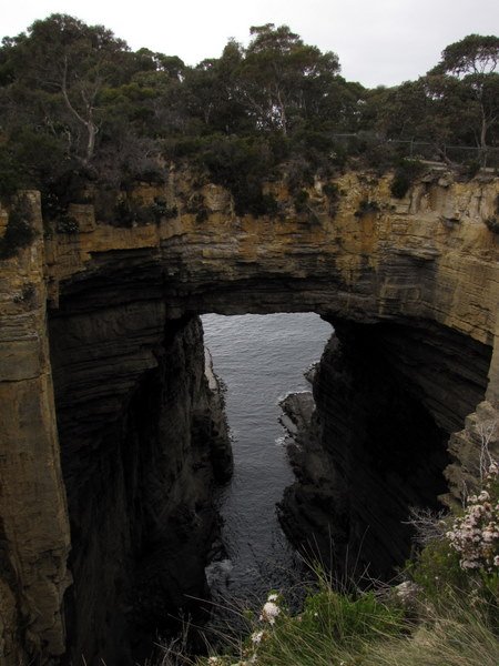 The Tasman Arch