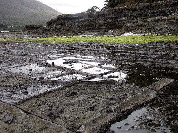 The tessellated rocks at Eaglehawk Neck