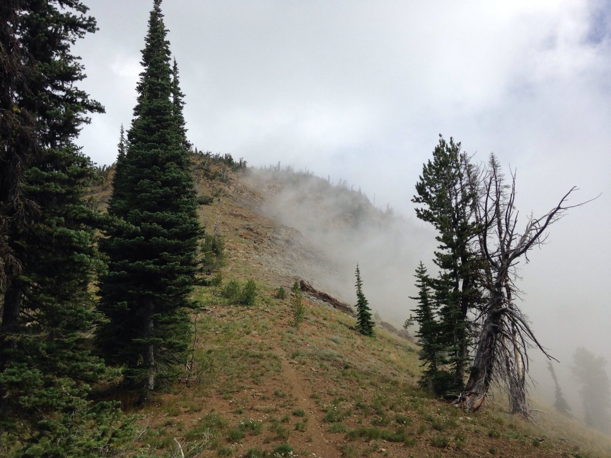 The spur trail to the top of Earl Peak with fog in the basin behind Earl Pass