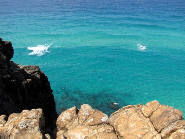 The view from Indian Head. Yes, there really is a swimmer down there. Spearfishing. In what's known as very shark-infested waters. To quote my Aussie friend: Bloody hell!