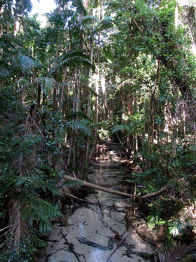 Wanggoolba Creek. Hard to believe this is on the same sandy beach island!