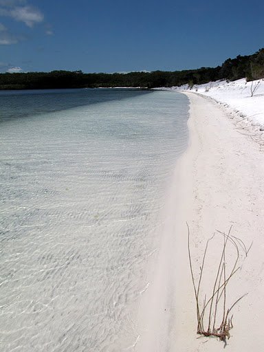 The white sand of beautiful Lake McKenzie