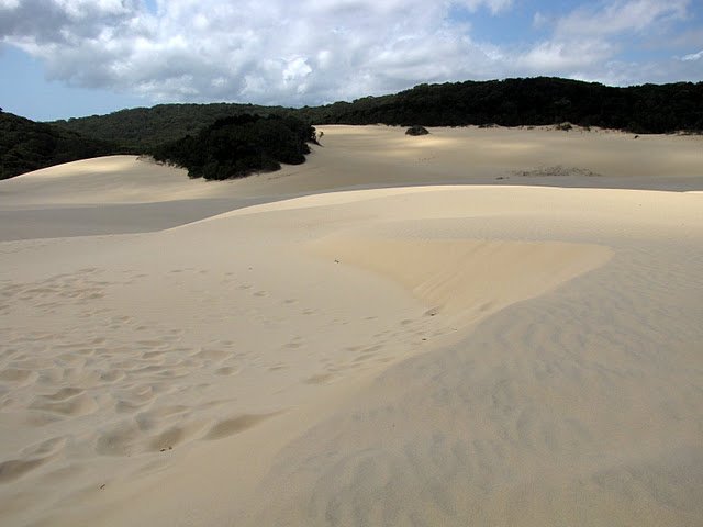 Hiking in over the sandblow to Lake Wabby