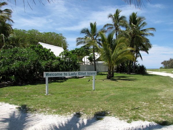 Welcome to gorgeous Lady Elliot Island!