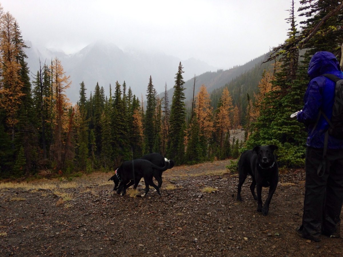 Our glimpse of the Enchantments from Navajo Pass