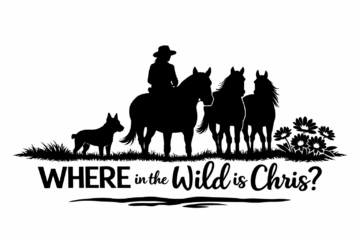 TrailChick - Where in the Wild is Chris?