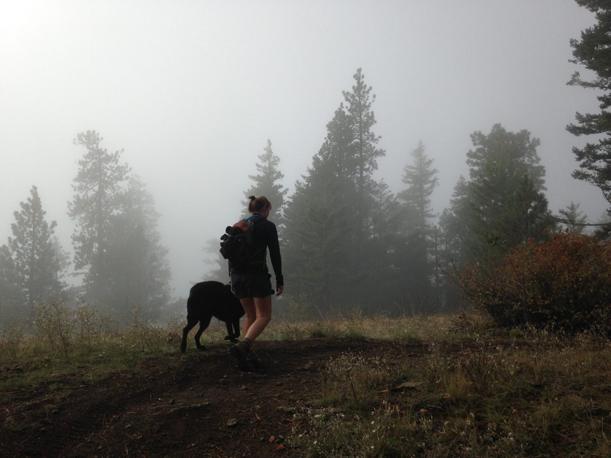 Starting the hike up into the fog