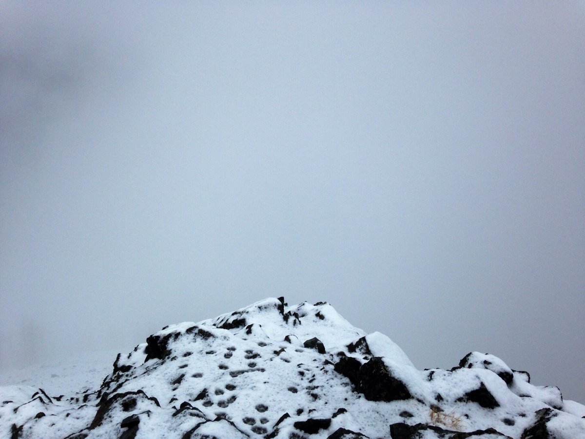 Our views from Navajo Peak: absolutely none!